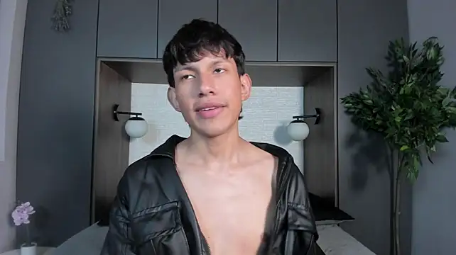 Pierre_Leroy_ webcam