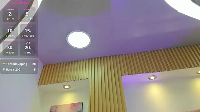 1Sloppy_Fox4 webcam
