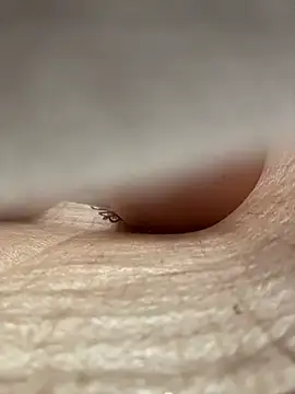 eveangelll (F milf) - Squirt (pvt open)