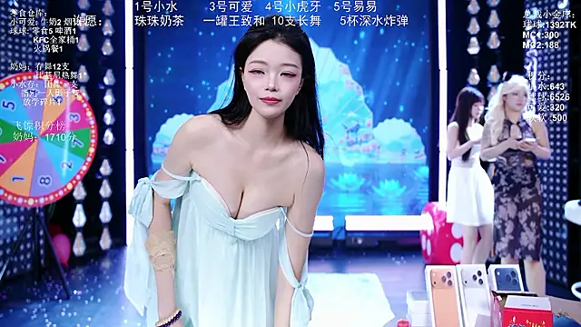 BTC-01 webcam