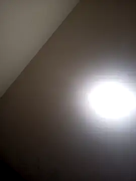 sua_sub_ live webcam