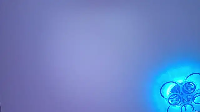 PerryKitty webcam