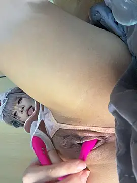 MeimoDog