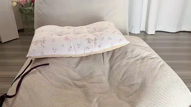 Fairy-HF