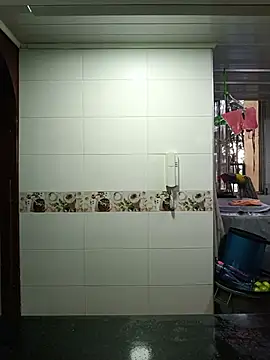 maynor_1998 webcam