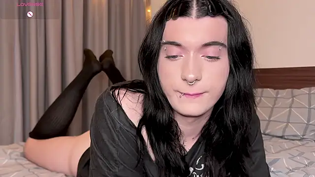 Model: Vailyreb_