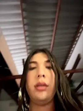 Modelo: saracaball_