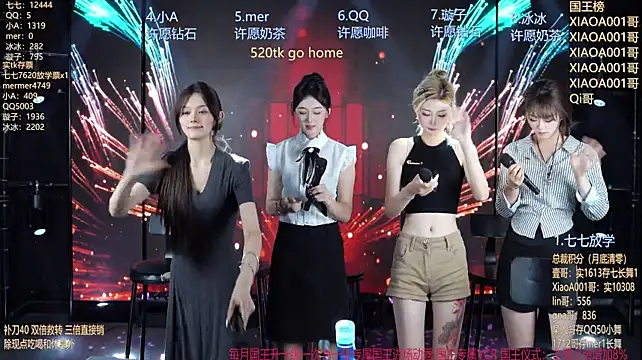 SK010 webcam