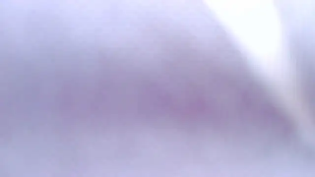 Latinopervs