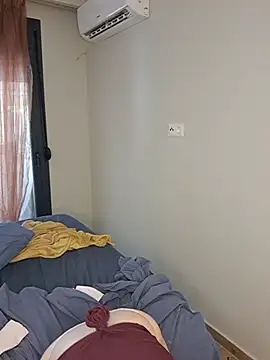 Kiki-wren webcam