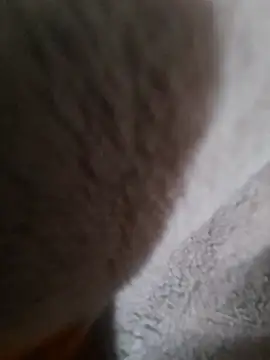 dermental (M twink) - Mucho semen 😖💦💦