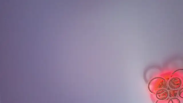 PerryKitty webcam