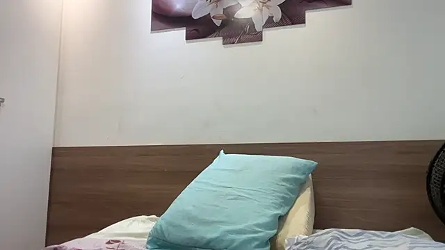 Fenixheaven webcam