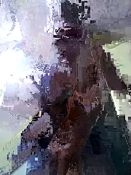 palominooo webcam