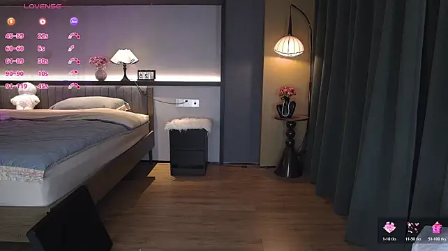 AYW-21 webcam