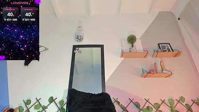Aria_fitness webcam