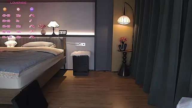 AYW-21 webcam