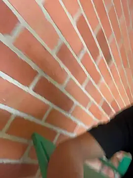HarryGaze webcam