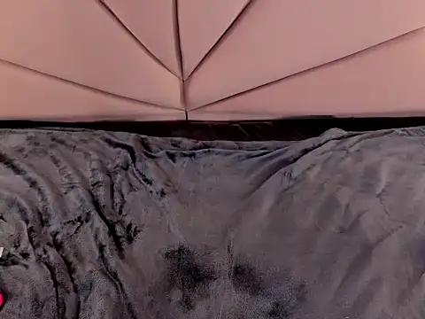 PamelaCollinsVS webcam
