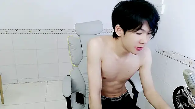 HJ-888 webcam