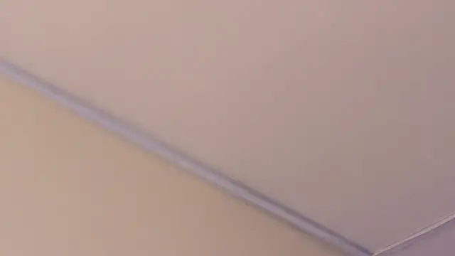 CherrySamantha_ webcam