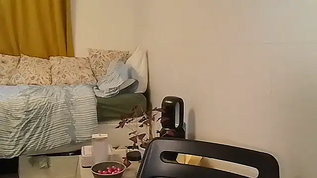 belgianshantie webcam