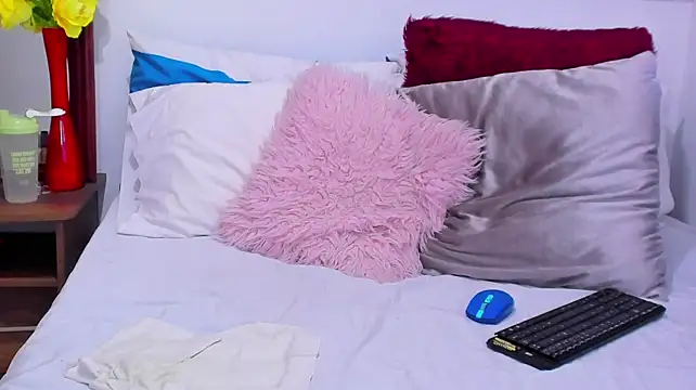 Aurora_Real webcam