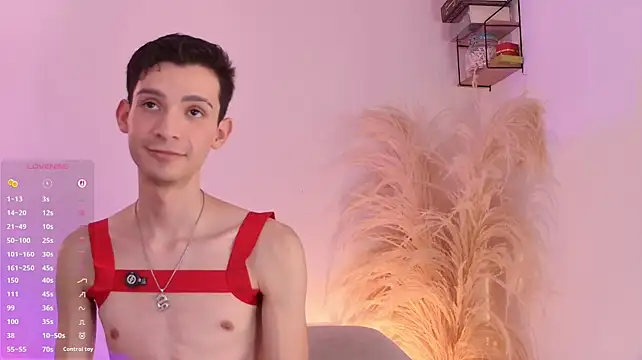 VicenteFerrer webcam