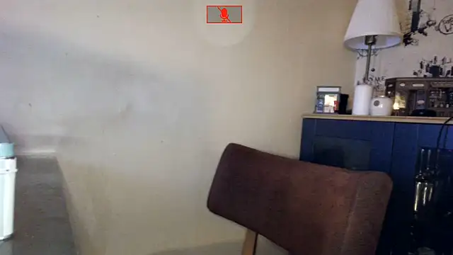 Hgay6935 webcam