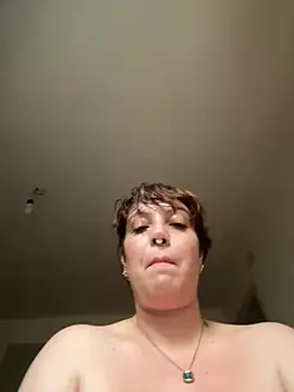 STRIPsegale webcam