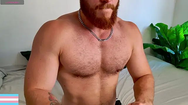 VictorTransMan webcam