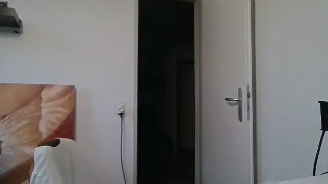 alpha-hunk webcam
