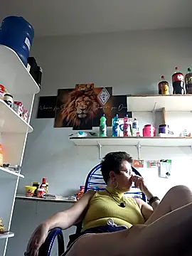 MILEIDE980 webcam