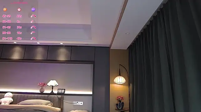 AYW-21 webcam