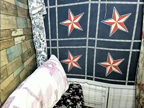xGEISHAx webcam