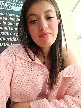 SALOME-28_ webcam