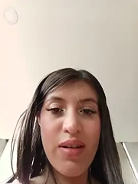SALOME-28_ webcam