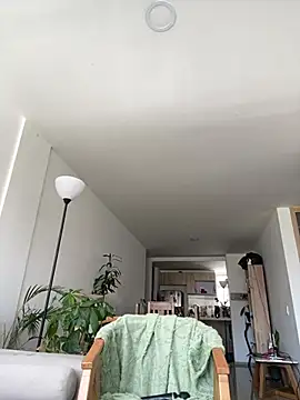 6nalanie webcam