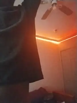 ReallyReallyReal webcam