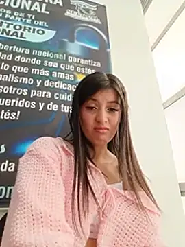SALOME-28_ webcam
