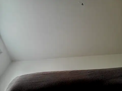 stivi2526 webcam