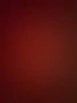 AnitaFly webcam