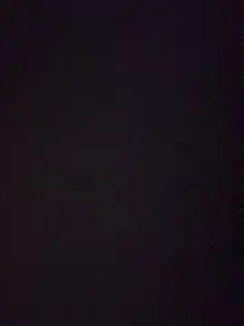 xinxiny1 webcam