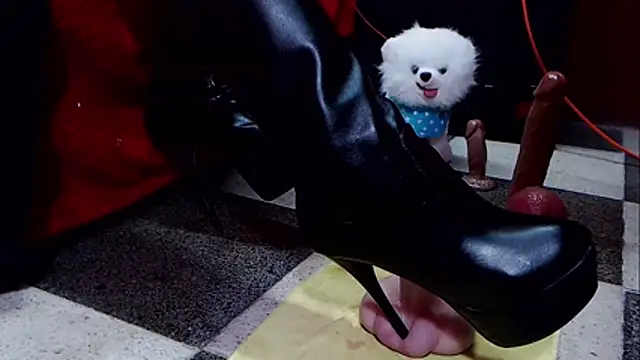 Hannamariana