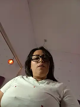 haileystone webcam