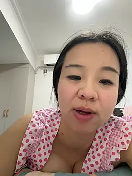 NiNa5203 webcam
