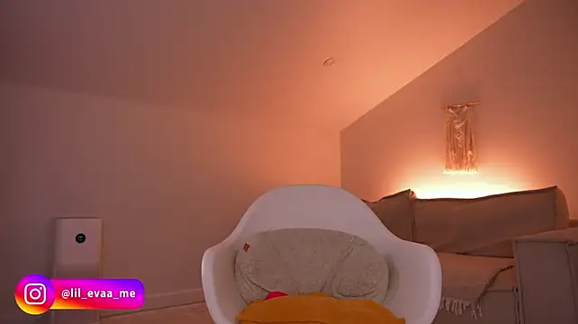 Lilevame webcam