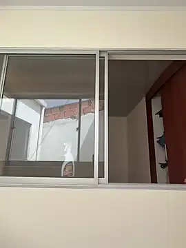 LunaHeat webcam