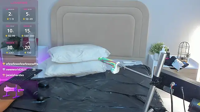 Liastarkk webcam