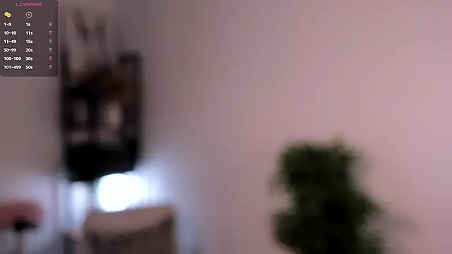 TomokoDake webcam